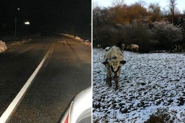 Des congères sur une route de Thiérache cette nuit, et la neige qui tenait bon ce matin à Buire.