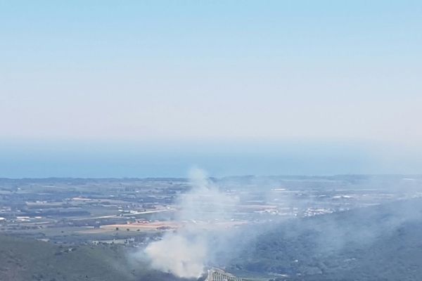 L'incendie de Lucciana, qui s'est déclaré vendredi 26 août à 12h, a parcouru 5 hectares.