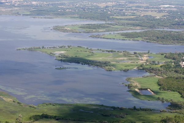 Le botulisme touche de nouveau le lac de Grandlieu en Loire-Atlantique