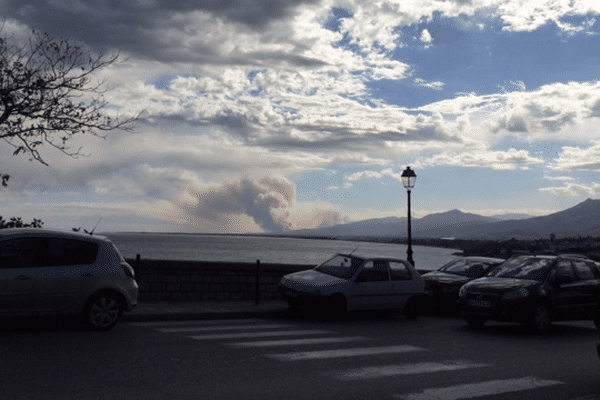 L'incendie s'est déclaré vers 13h30 sur la commune de Talasani, au sud de Bastia.