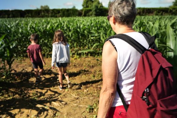 Ces visiteurs s'essaient au parcour aventure dans un labyrinthe végétal.