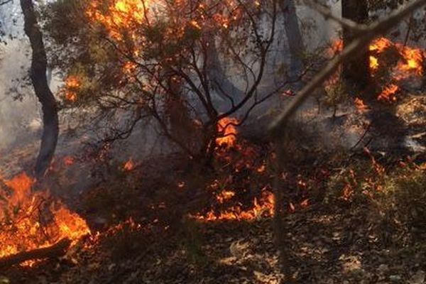 Plusieurs reprises de feu sous contrôle dans les Alpes-maritimes