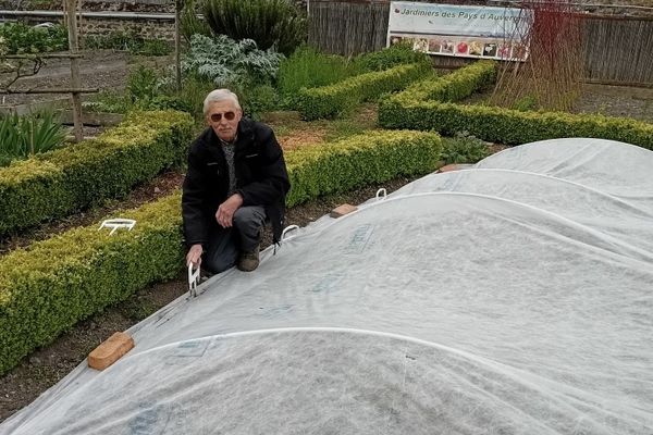 Les Saints de Glace : une période qui donne des sueurs froides aux jardiniers.