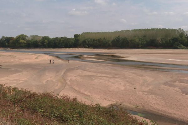 La Loire à proximité du pont de Varades. Son niveau estival était très bas cet été au mois d'août, en raison de la canicule.