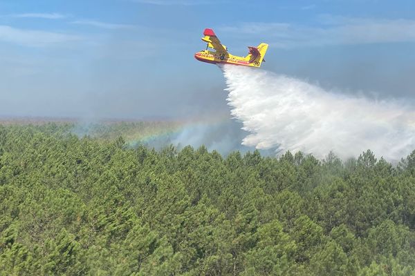 Un Canadair en action au dessus de la forêt de Saumos