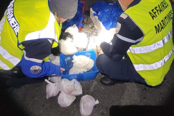 Marseillan (Hérault) - 135kg de crevettes et de coquillages impropres à la consommation saisis par les gendarmes - décembre 2024.