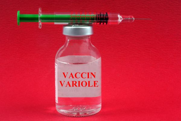 Plus de 400 vaccins ont été réalisés en Occitanie depuis le 30 mai 2022