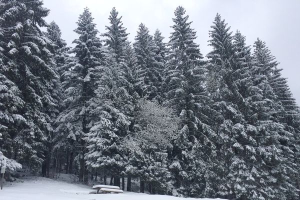 La neige a fait un retour impressionnant dans le massif