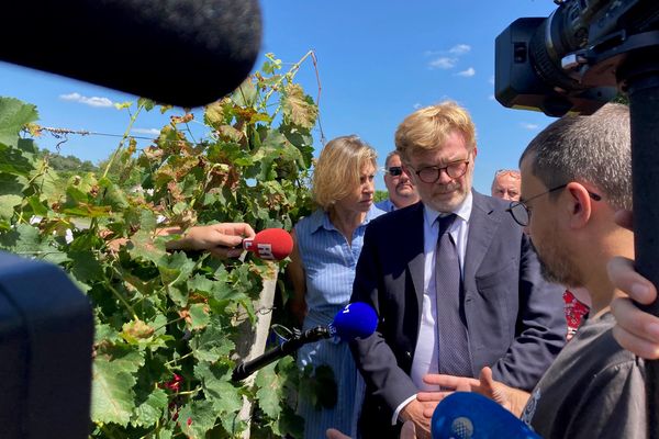 Le ministre de l'Agriculture est venu constater en Gironde les dégâts provoqués par le mildiou mais sans faire d'annonce pour aider les viticulteurs du bordelais