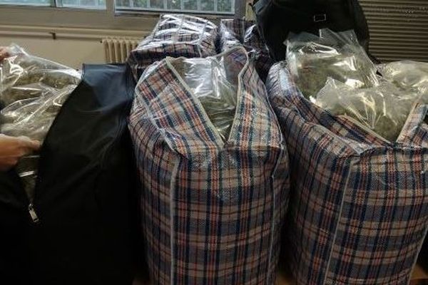 Les sachets d'herbe de cannabis étaient contenus dans des sacs, dissimulés dans le porte-palettes d'un chauffeur routier espagnol. 