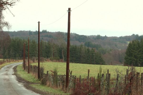 Au loin, le massif forestier où vont être implantées des éoliennes.