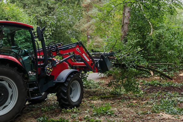 L'allée cavalière issue du domaine du baron Martin de la Bastide est appelée à disparaître... pour mieux renaître. C’est une petite bête, un champignon parasitaire qui a sournoisement attaqué 110 Hêtres et les a condamnés.