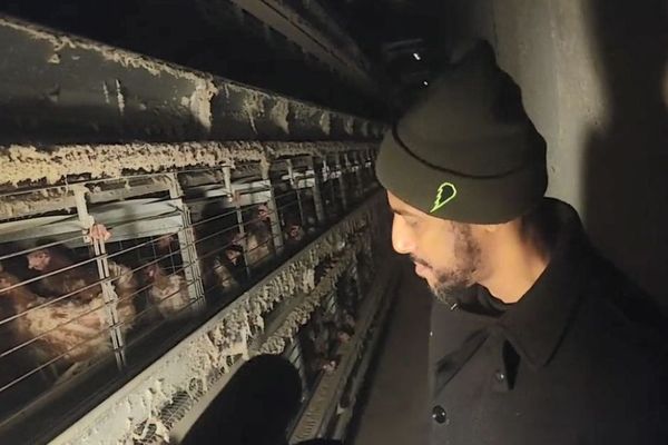 Le rappeur Stomy Bugsy dans un élevage de poules près d'Amiens