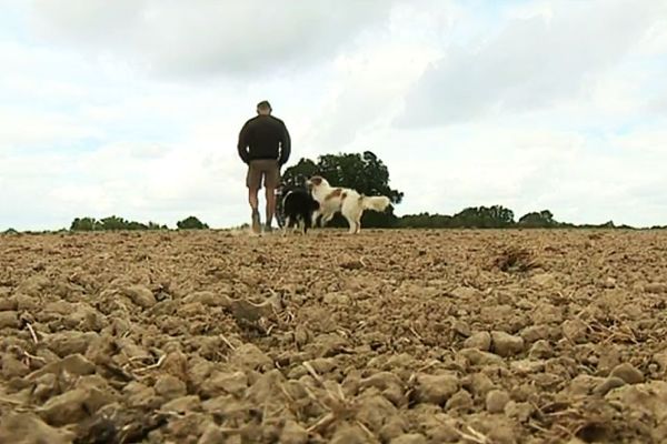 Des agriculteurs de plus en plus souvent affectés par les intempéries, et avec de moins en moins de possibilités de faire face...