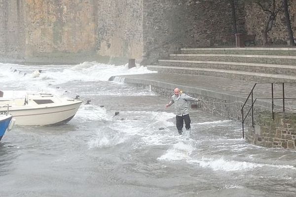 Sous la pression des vagues, les amarres de certains bateaux ont cédé à Collioure.