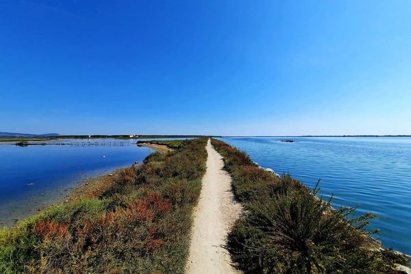 L'étang d'Ingril, peu profond et d'une longueur d'environ 7 km, il est séparé de la mer par un cordon de dunes, près de la station balnéaire de Frontignan-plage, dans l'Hérault