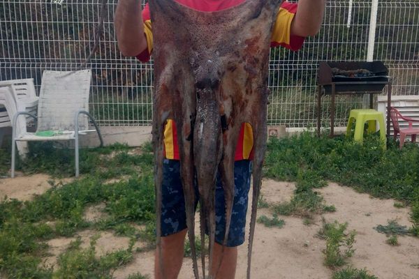 7,650 kilos, deux mètres envergure. Sébastien Cala pose fièrement avec le poulpe fraîchement pêché au harpon dans les eaux de Leucate.