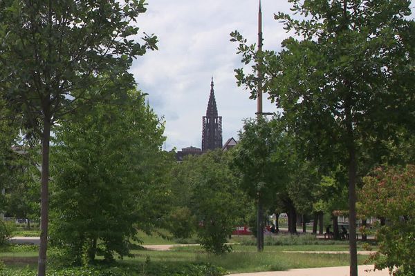 Ville verte, universitaire, jeune et culturelle, Strasbourg (Bas-Rhin) est mal classée sur le podium des meilleures villes étudiantes de France.