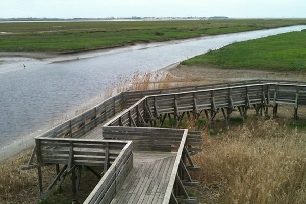 Paysage de la Loire-Atlantique à Lavau-sur-loire