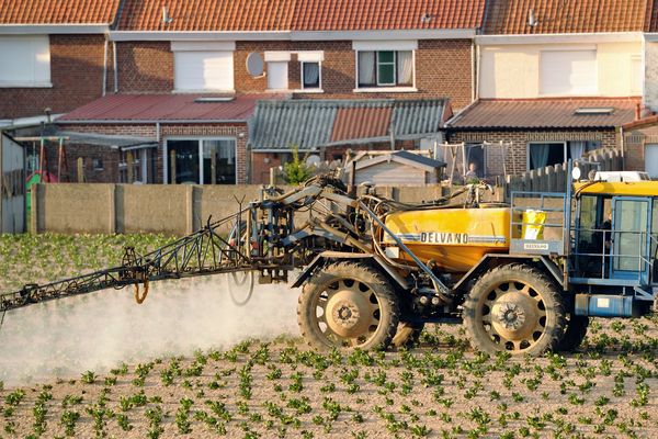 Cinq grandes villes françaises dont Grenoble et Clermont-Ferrand ont interdit les pesticides sur leur territoire.