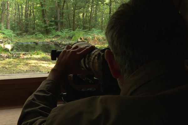 Le photographe animalier Erwan Balança dans son affût à oiseaux installé près de sa maison au sud de Nantes.