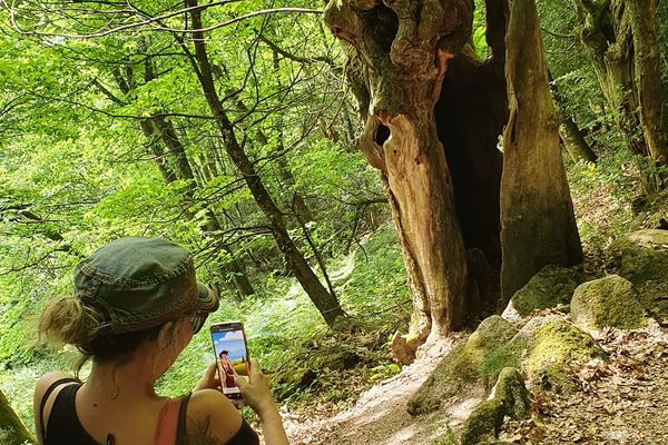 Grâce à l'application Haute-Vienne Explor Games, redécouvrez le patrimoine du département avec votre téléphone