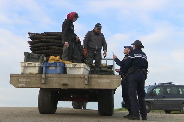 Un important dispositif de surveillance est assuré par la gendarmerie dans la zone ostréicole de Grandcamp-Maisy pendant la période des fêtes de fin d'année.