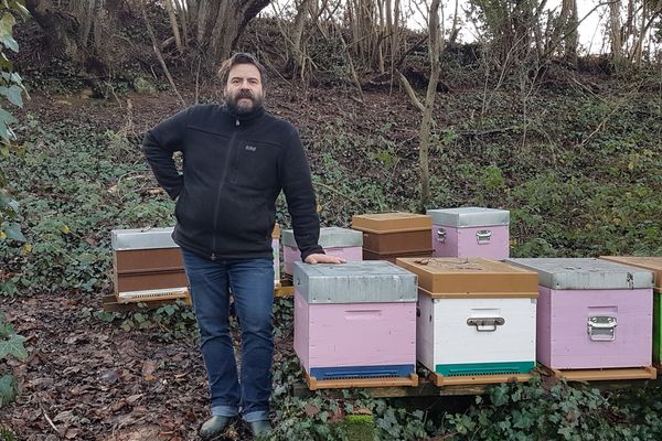 Enseignant-chercheur à l'université d'Amiens, Michel Sokolowski s'intéresse depuis près de 18 ans aux abeilles. 