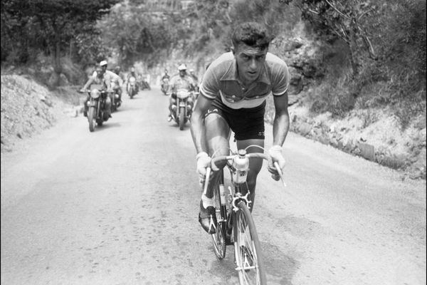 Le cycliste français Louison Bobet en plein effort dans l'ascension du col du Castillon dans les Alpes-Maritimes lors de la 16e étape du Tour de France en juillet 1950.