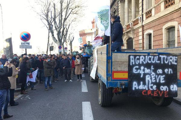 200 agriculteurs ont manifesté ce lundi 31 janvier devant la préfecture des Pyrénées-Orientales à l'appel de la FNSEA.