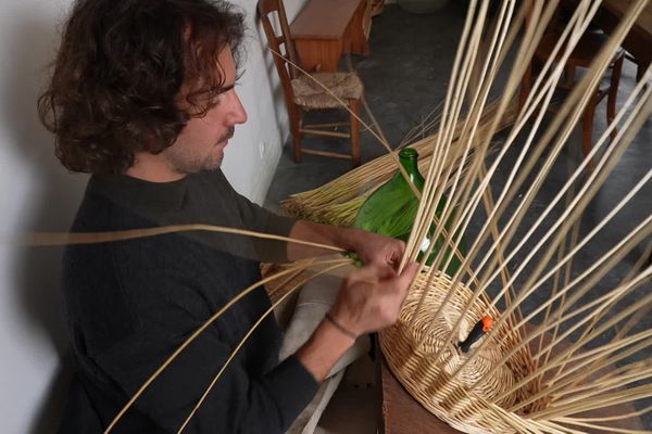 Matthieu Duprey cultive différentes variétés d'osier en Haute-Vienne qu'il façonne ensuite en objets du quotidien.