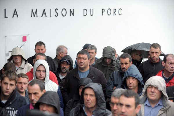 Des éleveurs rassemblés devant le Marché du porc breton à Plérin, le 14 août 2015.