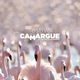 Le Festival de la Camargue 2024, une édition symbolique