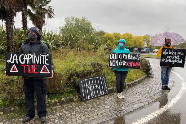 les militants se sont postés sur le rond-point qui dessert l'entrée du parc Planète Sauvage à Port-Saint-Père (Loire-Atlantique)