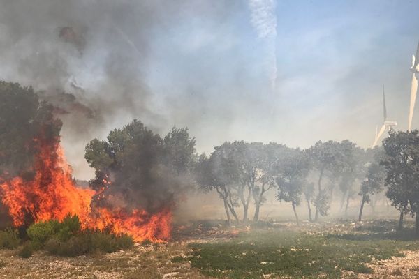 Le feu attisé par la tramontane reste difficile à maîtriser malgré les renforts à La Palme.