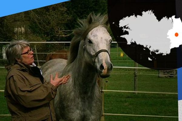 Caroline Bardin étudie le comportement du cheval pour établir une meilleure relation avec l'animal