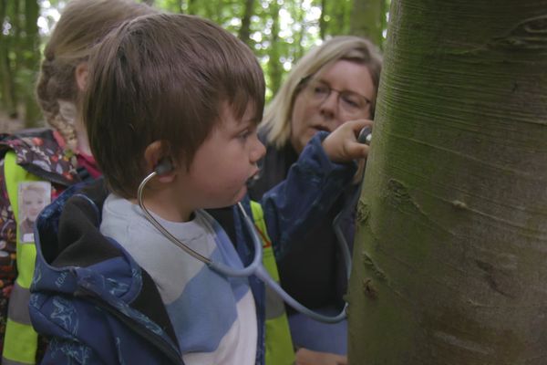 A l'école du climat, les enfants écoutent le cœur des arbres.