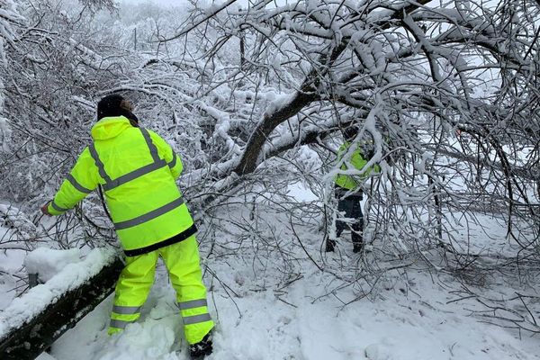 Des techniciens d'Enedis dégagent un arbre, tombé sur la chaussée et sur une ligne électrique, entre Guebwiller et Buhl, le 15 janvier 2021.