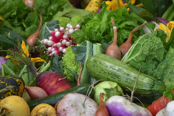 Le chèque alimentaire pourra être utilisé auprès de 40 producteurs locaux. Photo d'illustration.