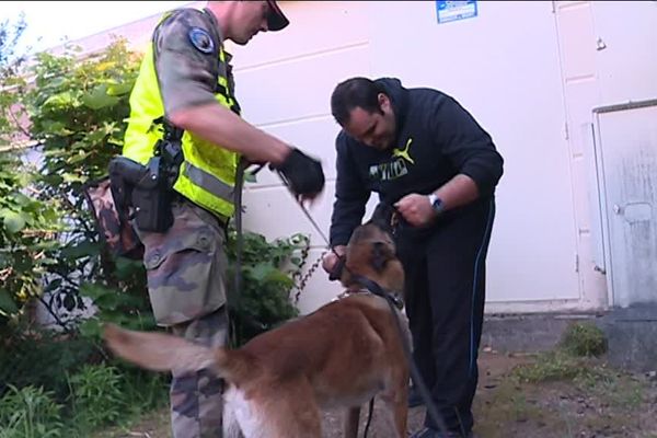 Entraînements des chiens de défense par une des brigades cynophiles de la région Centre-Val de Loire