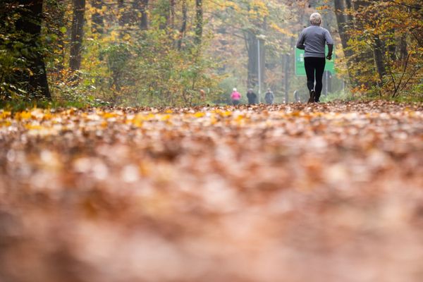 Le jogging, une des rares activités physiques que l'on puisse pratiquer pendant le confinement