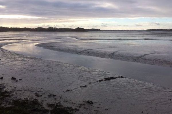 Anse de Pouldon, à deux pas de l'anse de Tromarzin. A marée basse ces endroits de la baie de la rivière de Pont-l'Abbé se transforment en grandes vasières.