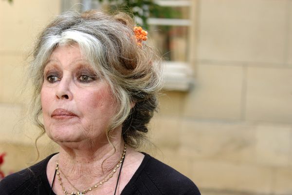 Brigitte Bardot prend la défense du sanglier Rillette. 