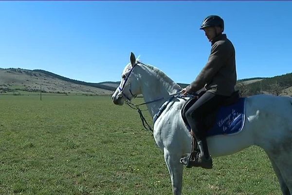 On compte une quinzaine d'élevage de purs-sangs arabes en Lozère.