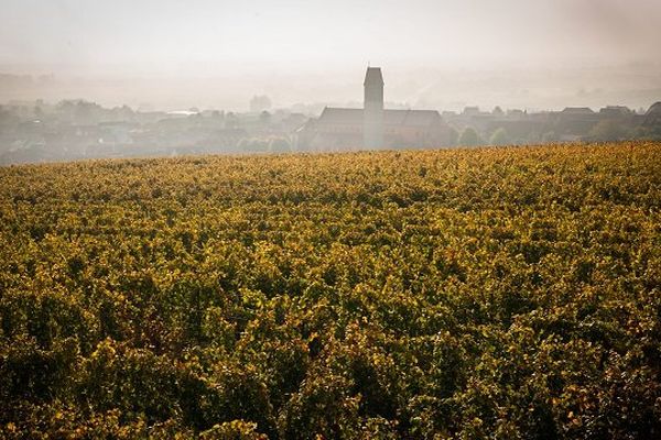 Vignes alsaciennes et vue sur le village de Pfaffenheim (Haut-Rhin).