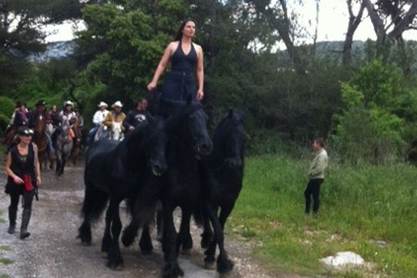 TransHumance vient de se mettre en marche