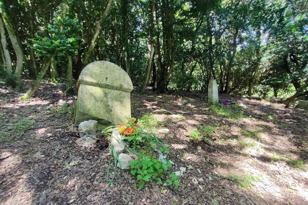 Le cimetière du Petit-Paris, en Drôme provençale (mai 2024). Le site a ouvert ses portes au public à l'occasion de la 9e édition du “Printemps des cimetières”.