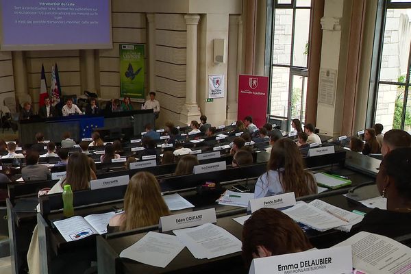 Une centaine de lycéens ont débattu, mardi 28 mai, comme s'ils se trouvaient au Parlement européen.