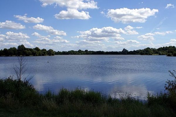 Etang d'Apigné au Sud de Rennes. Baignades à nouveau autorisées