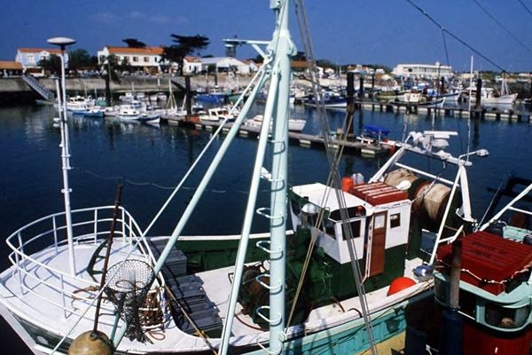 Le port de la Cotinière est le plus grand de la région.